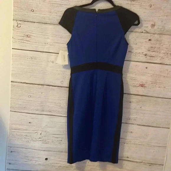 Ice dress - Picture 4 of 4